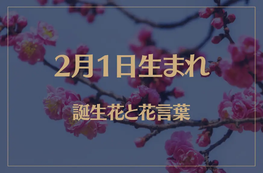 2月1日の誕生花と花言葉がコレ！性格や恋愛・仕事などの誕生日占いもご紹介！