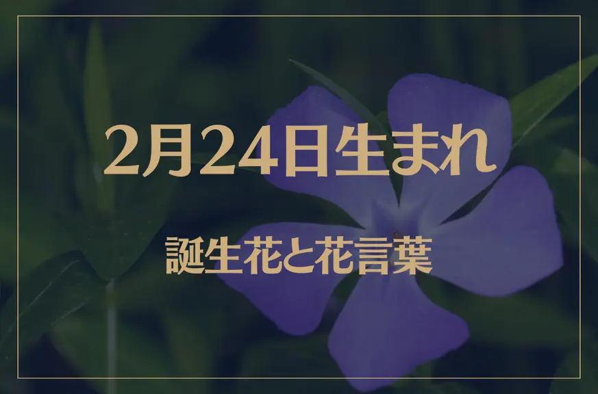 2月24日の誕生花と花言葉がコレ！性格や恋愛・仕事などの誕生日占いもご紹介！