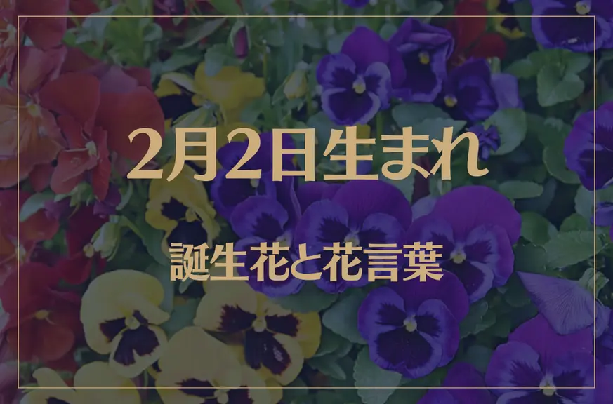 2月2日の誕生花と花言葉がコレ！性格や恋愛・仕事などの誕生日占いもご紹介！