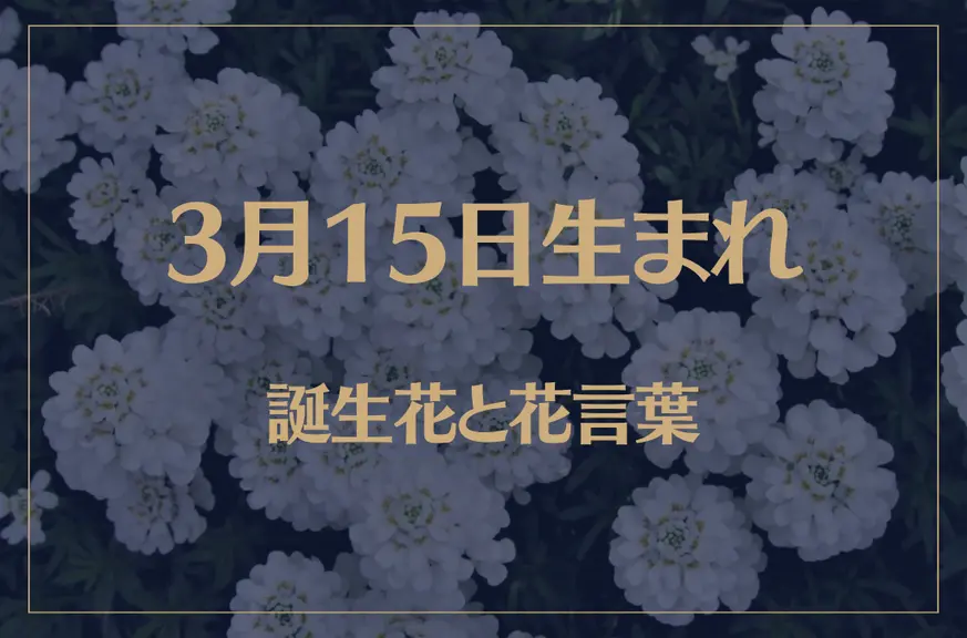 3月15日の誕生花と花言葉がコレ！性格や恋愛・仕事などの誕生日占いもご紹介！