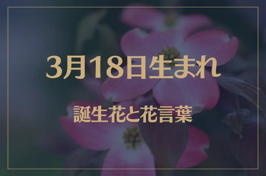 3月18日の誕生花と花言葉がコレ！性格や恋愛・仕事などの誕生日占いもご紹介！