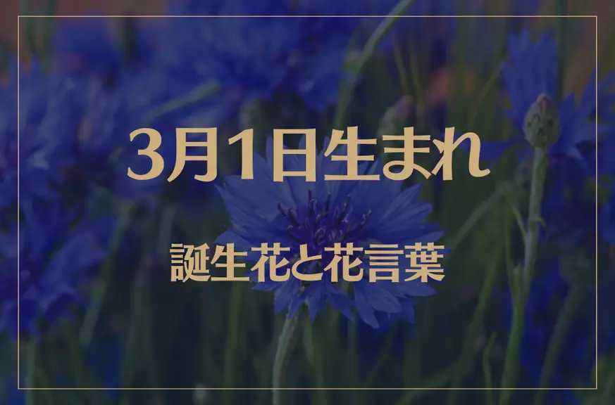 3月1日の誕生花と花言葉がコレ！性格や恋愛・仕事などの誕生日占いもご紹介！