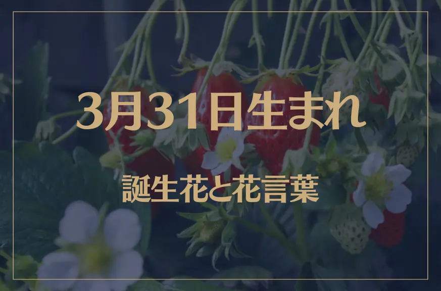 3月31日の誕生花と花言葉がコレ！性格や恋愛・仕事などの誕生日占いもご紹介！