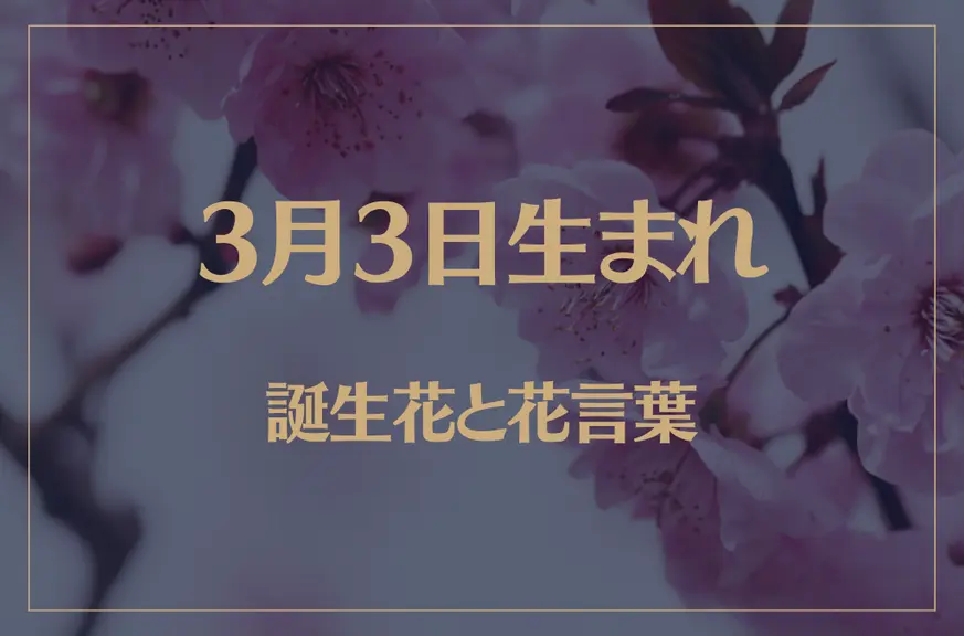 3月3日の誕生花と花言葉がコレ！性格や恋愛・仕事などの誕生日占いもご紹介！