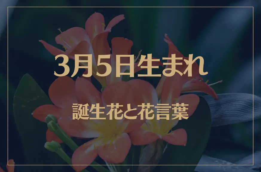 3月5日の誕生花と花言葉がコレ！性格や恋愛・仕事などの誕生日占いもご紹介！