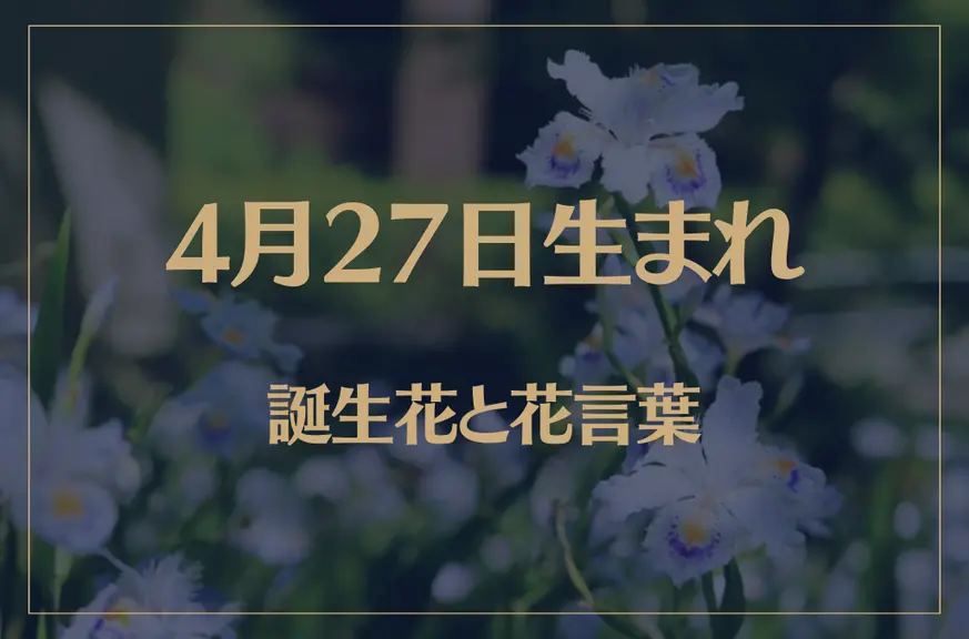 4月27日の誕生花と花言葉がコレ！性格や恋愛・仕事などの誕生日占いもご紹介！