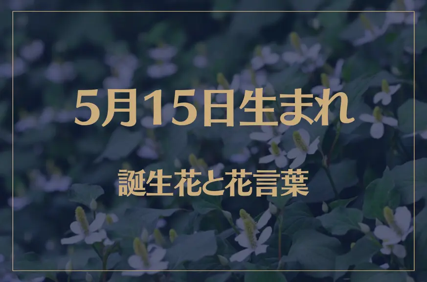 5月15日の誕生花と花言葉がコレ！性格や恋愛・仕事などの誕生日占いもご紹介！