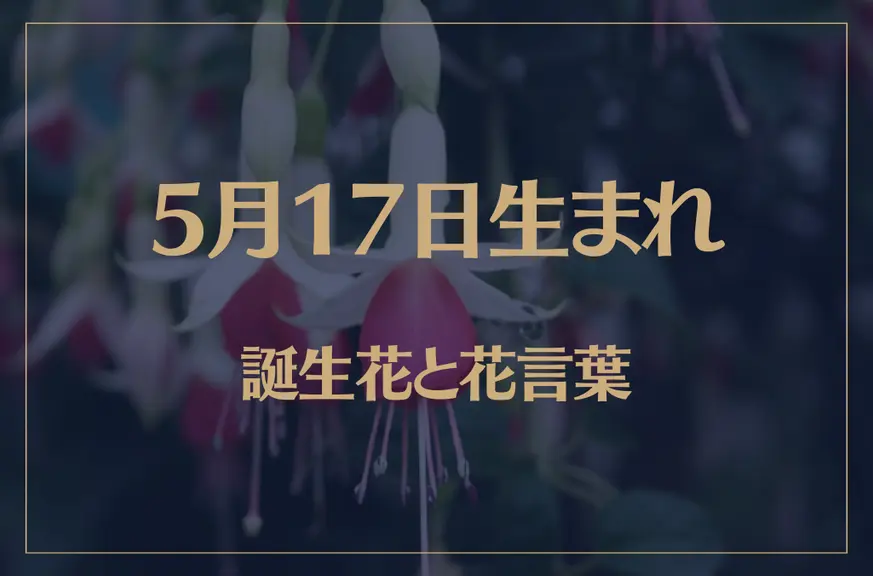 5月17日の誕生花と花言葉がコレ！性格や恋愛・仕事などの誕生日占いもご紹介！