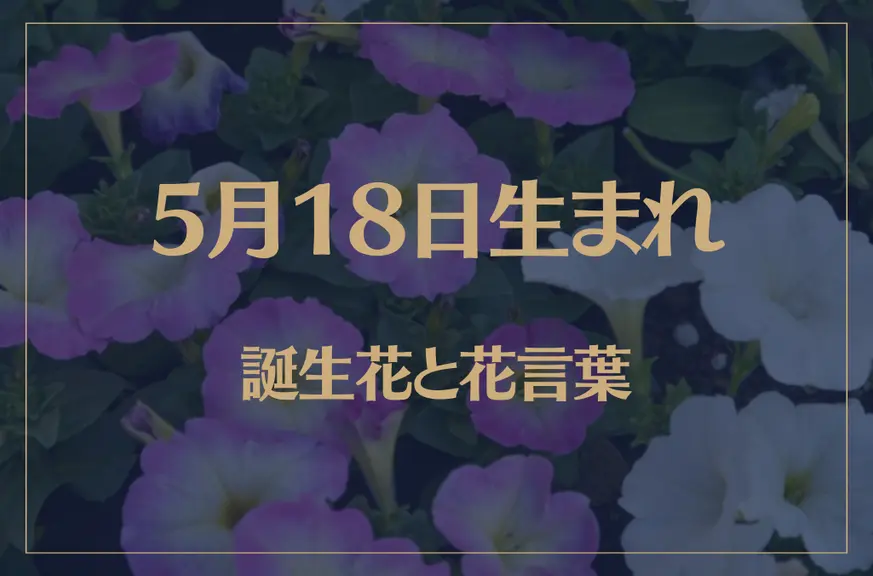 5月18日の誕生花と花言葉がコレ！性格や恋愛・仕事などの誕生日占いもご紹介！