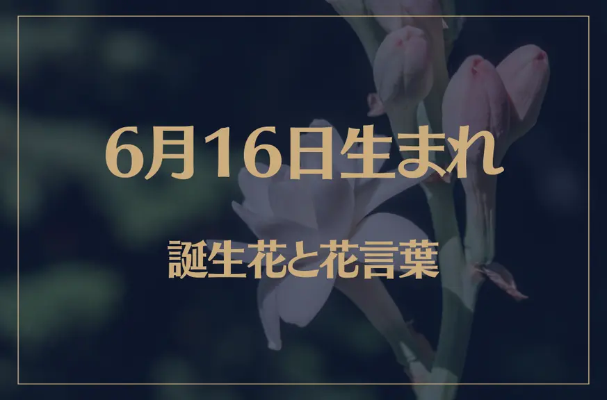 6月16日の誕生花と花言葉がコレ！性格や恋愛・仕事などの誕生日占いもご紹介！