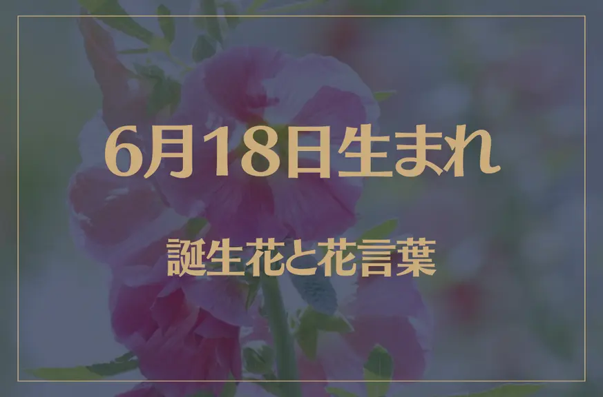 6月18日の誕生花と花言葉がコレ！性格や恋愛・仕事などの誕生日占いもご紹介！