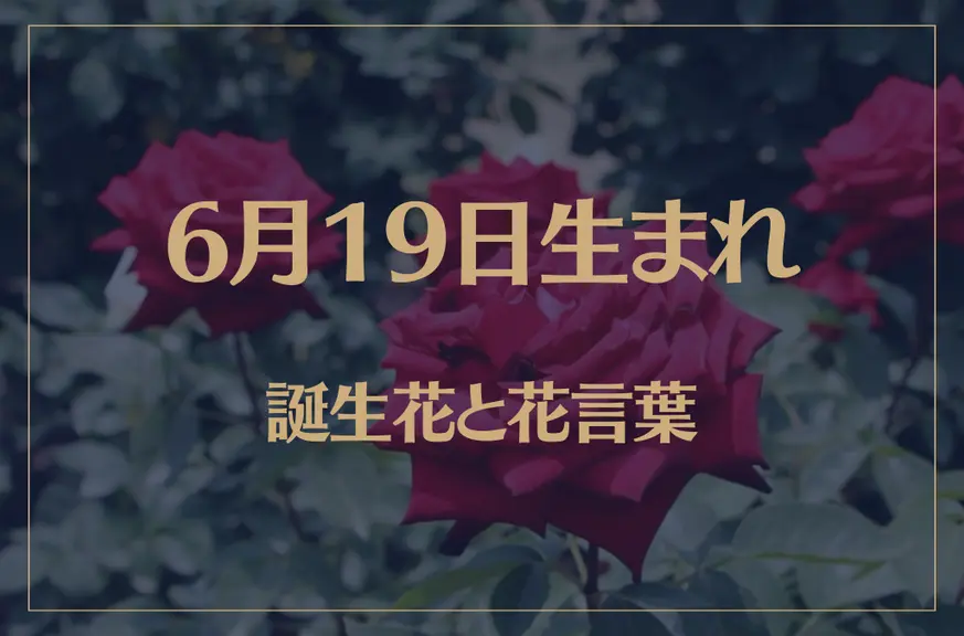 6月19日の誕生花と花言葉がコレ！性格や恋愛・仕事などの誕生日占いもご紹介！