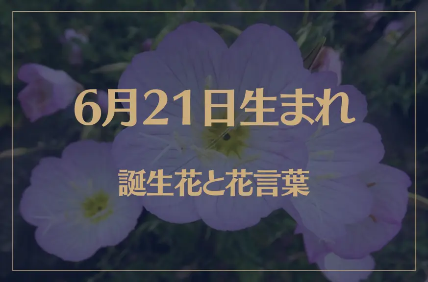 6月21日の誕生花と花言葉がコレ！性格や恋愛・仕事などの誕生日占いもご紹介！