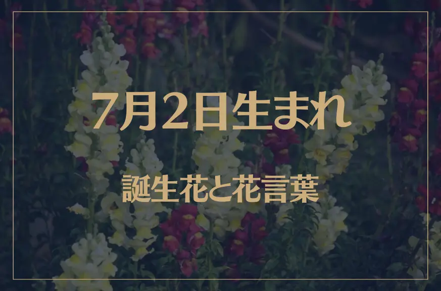 7月2日の誕生花と花言葉がコレ！性格や恋愛・仕事などの誕生日占いもご紹介！