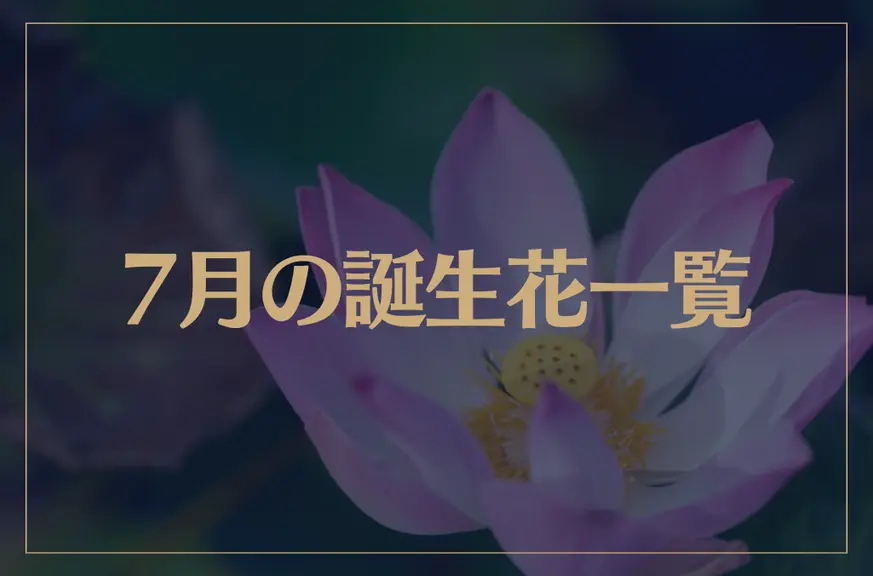 【7月の誕生花一覧】7月の誕生花・花言葉をご紹介！