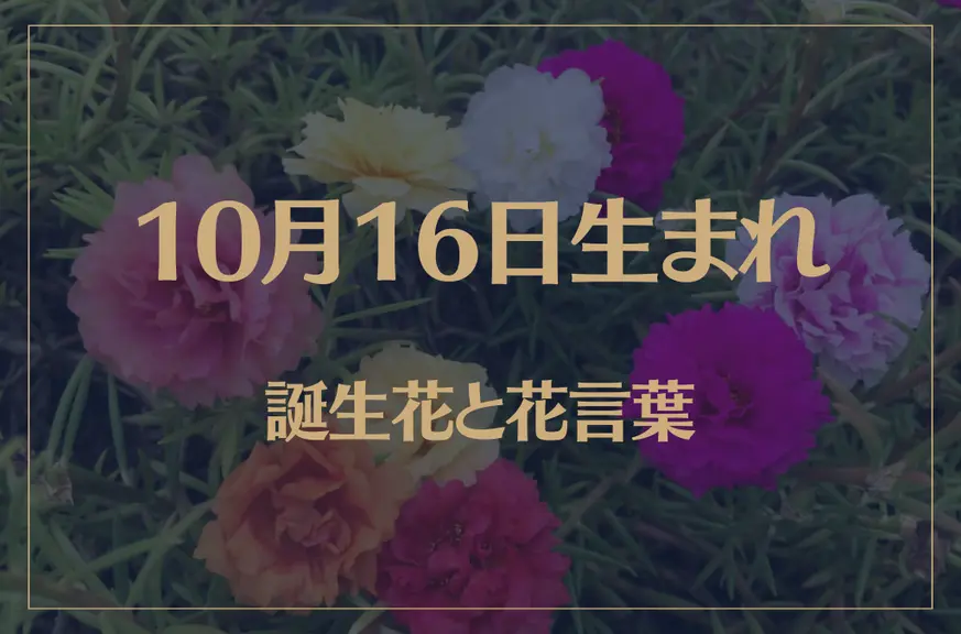 10月16日の誕生花と花言葉がコレ！性格や恋愛・仕事などの誕生日占いもご紹介！