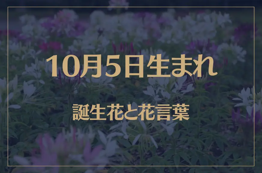 10月5日の誕生花と花言葉がコレ！性格や恋愛・仕事などの誕生日占いもご紹介！