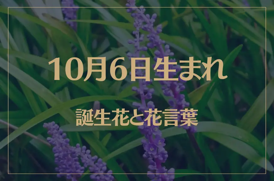 10月6日の誕生花と花言葉がコレ！性格や恋愛・仕事などの誕生日占いもご紹介！