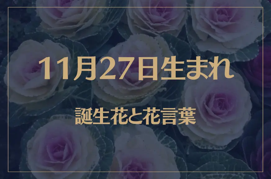 11月27日の誕生花と花言葉がコレ！性格や恋愛・仕事などの誕生日占いもご紹介！