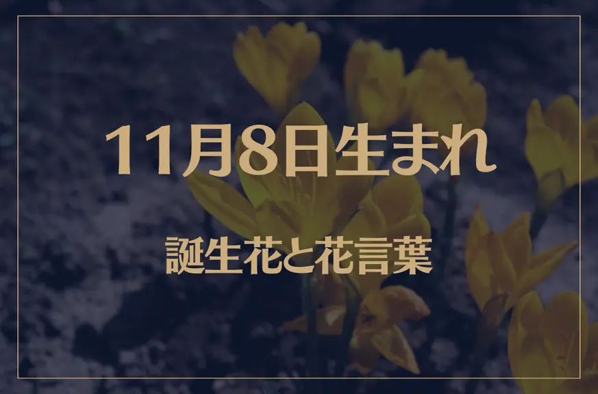 11月8日の誕生花と花言葉がコレ！性格や恋愛・仕事などの誕生日占いもご紹介！