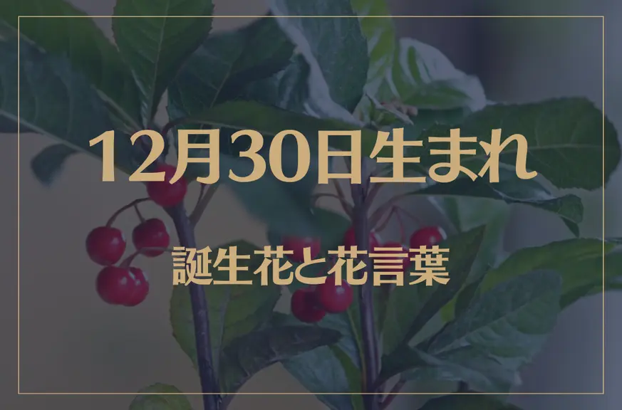 12月30日の誕生花と花言葉がコレ！性格や恋愛・仕事などの誕生日占いもご紹介！