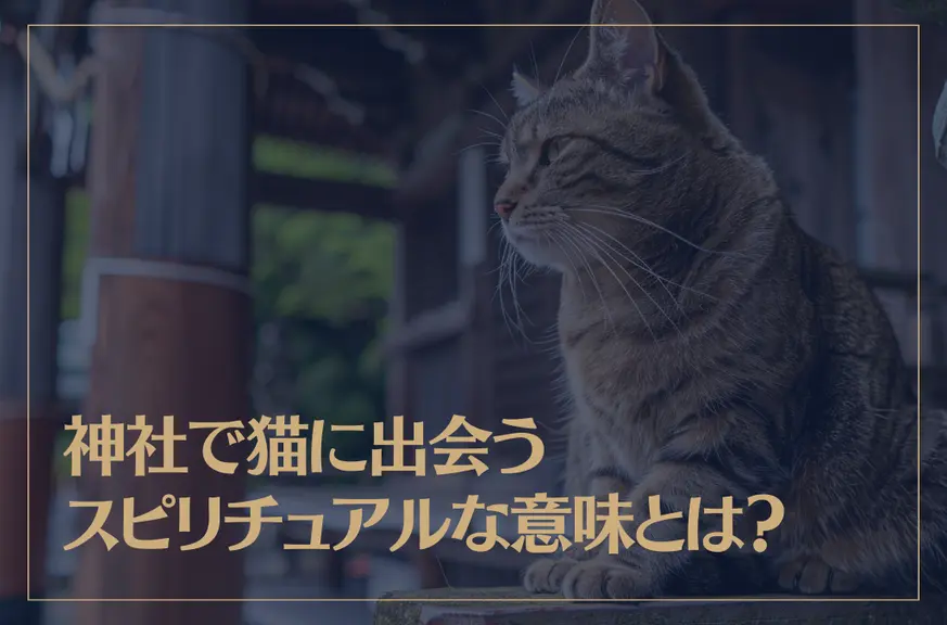 神社で猫に出会うスピリチュアルな意味とは？